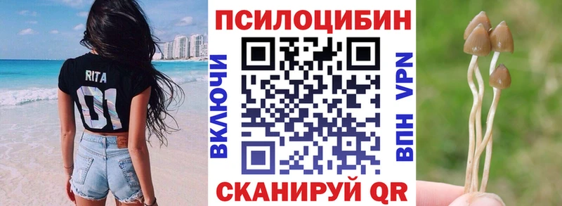 Галлюциногенные грибы MAGIC MUSHROOMS  дарнет шоп  Курчатов 
