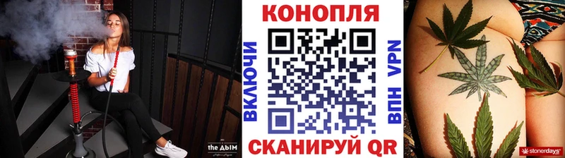 Бошки марихуана Bruce Banner  Курчатов 